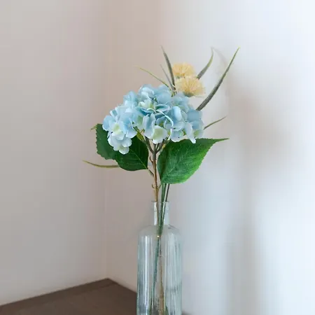 Διαμέρισμα Augusta House By Mp *