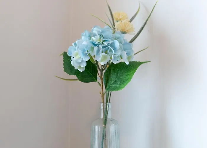 Apartment Augusta House By Mp *